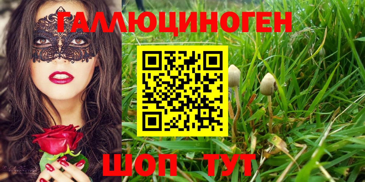 как найти наркотики  Галлюциногенные грибы ЛСД  Мичуринск  Вход с VPN  Галлюциногенные грибы Magic Shrooms 